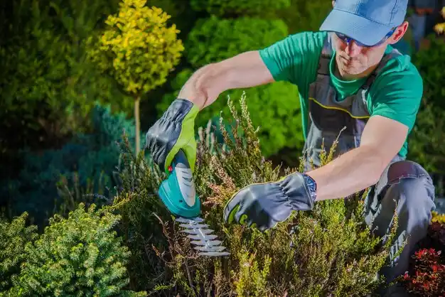 landscaping services Riverview